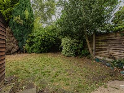 Picture 27